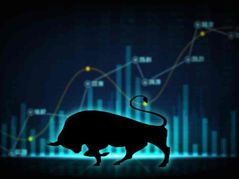 Stock Market 